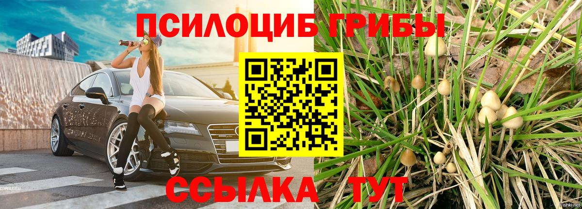 Миасс  Галлюциногенные грибы MAGIC MUSHROOMS  Вход с VPN 
